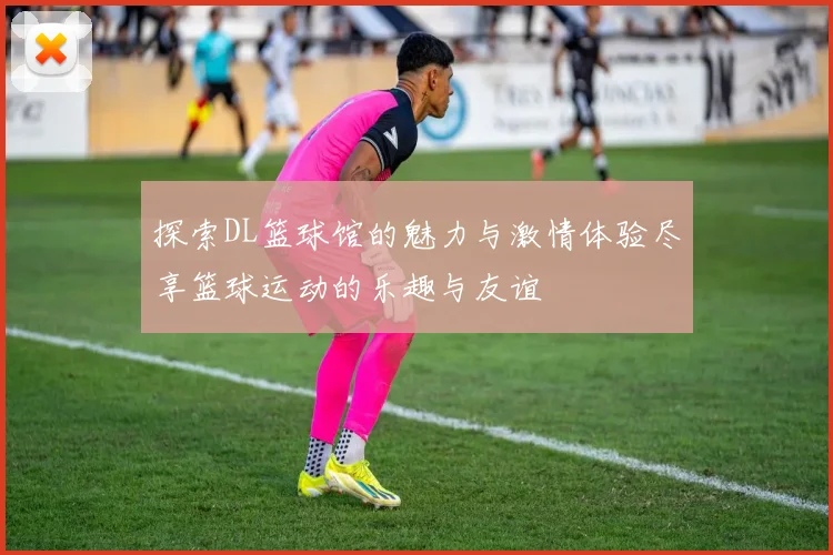 探索DL篮球馆的魅力与激情体验尽享篮球运动的乐趣与友谊