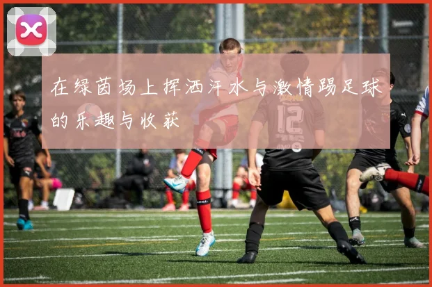 在绿茵场上挥洒汗水与激情踢足球的乐趣与收获