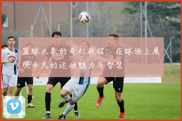 篮球大象的奇幻旅程：在球场上展现非凡的运动魅力与智慧