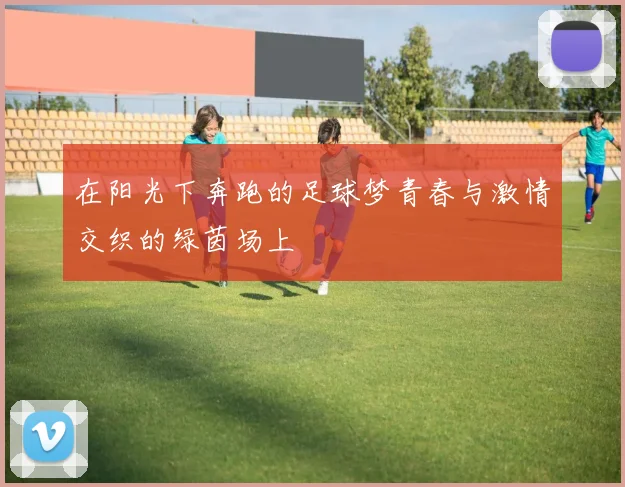 在阳光下奔跑的足球梦青春与激情交织的绿茵场上