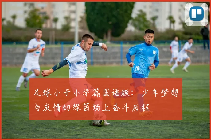 足球小子小学篇国语版：少年梦想与友情的绿茵场上奋斗历程