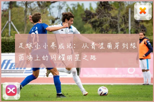 足球小小养成记：从青涩萌芽到绿茵场上的闪耀明星之路