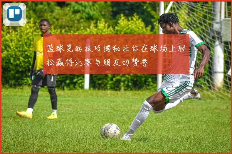 篮球晃狗技巧揭秘让你在球场上轻松赢得比赛与朋友的赞誉